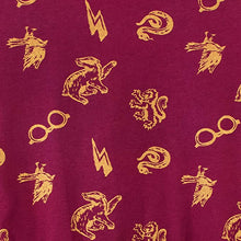 Load image into Gallery viewer, Harry Potter Girls&#39; Hogwarts Dress